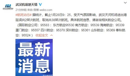 受天氣影響,武漢天河機(jī)場(chǎng)部分航班取消